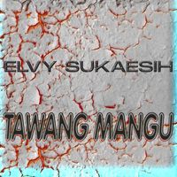 Elvy Sukaesih - Tawang Mangu