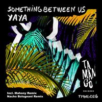Yaya - Something Between Us EP