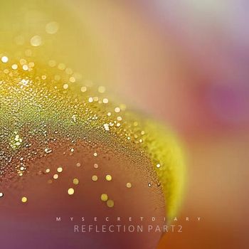 My Secret Diary - Reflection. Part 2