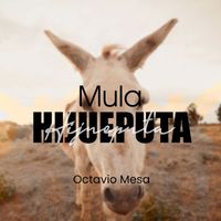 Octavio Mesa - Mula Hijueputa