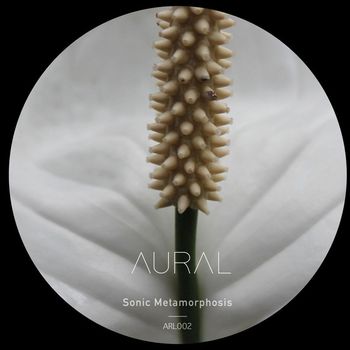 Aural - Sonic Metamorphosis