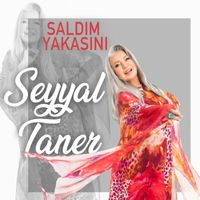 Seyyal Taner - Saldım Yakasını