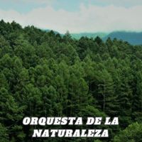 CopyrightLicensing - Orquesta de la Naturaleza
