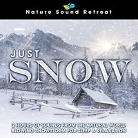 Nature Sound Retreat - Just Snow: 2 Hours of Sounds from the Natural World Blowing Snowstorm for Sleep & Relaxation