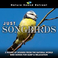 Nature Sound Retreat - Just Songbirds: 2 Hours of Sounds from the Natural World Bird Songs for Sleep & Relaxation