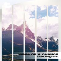 Idris Begovic - Vibes of a Chance