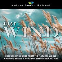 Nature Sound Retreat - Just Wind: 2 Hours of Sounds from the Natural World Calming Breeze & Wind for Sleep & Relaxation