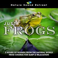 Nature Sound Retreat - Just Frogs: 2 Hours of Sounds from the Natural World Frog Chorus for Sleep & Relaxation