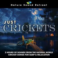 Nature Sound Retreat - Just Crickets: 2 Hours of Sounds from the Natural World Cricket Songs for Sleep & Relaxation