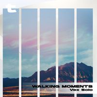 Vex Solo - Walking Moments