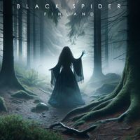 Black Spider - Finland
