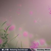 Sunday Moss - 癒しの巣 - Relaxing Soundscape