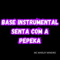 Mc Warley Mineiro - base instrumental senta com a pepeka
