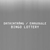 Dataintrång, Luke Eargoggle - Bingo Lottery