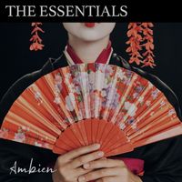 Ambien - The Essentials: Ambien