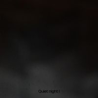 My second guess - Quiet night I