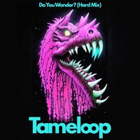 Tameloop - Do You Wonder? (Hard Mix)