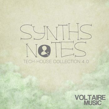Various Artists - Synths and Notes 4.0