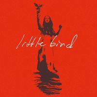 The Tall Pines - Little Bird