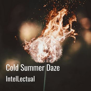 IntelLectual - Cold Summer Daze