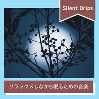 Silent Drips - リラックスしながら眠るための音楽