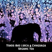 Yondo And Lorca, Chinguaga - Organic Tea