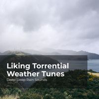 Deep Sleep Rain Sounds, Rain Meditations, Rain Sounds Collection - Liking Torrential Weather Tunes