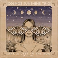 Cosmos Sunshine Trio & Cosmos Sunshine - Ankle Deep in the Bog Emission I