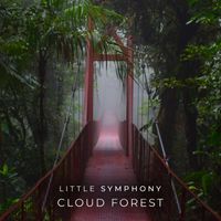 Little Symphony - Cloud Forest