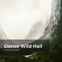 Forest Sounds, Ambient Forest, Rainforest Sounds - Dense Wild Hail