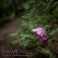 Little Symphony - Dowling