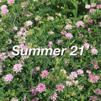 Bremiere - Summer 21'
