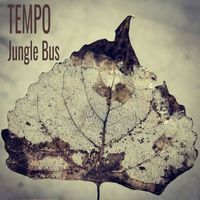 Tempo - Jungle Bus