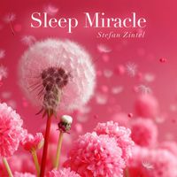 Stefan Zintel - Sleep Miracle (Relax, Focus and Improve Your Sleep.)