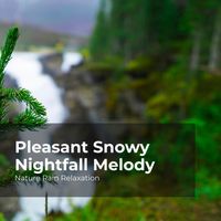 Nature Rain Relaxation, Rain Recorders, Rainfall - Pleasant Snowy Nightfall Melody