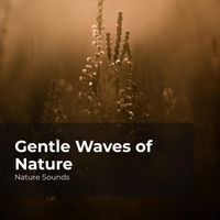Nature Sounds, Sleep Sounds of Nature, Nature Sounds Nature Music - Gentle Waves of Nature