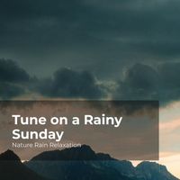 Nature Rain Relaxation, Rain Recorders, Rainfall - Tune on a Rainy Sunday