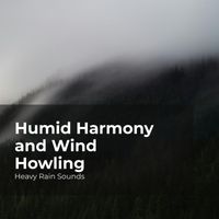 Heavy Rain Sounds, Rain Shower Spa, Lullaby Rain - Humid Harmony and Wind Howling