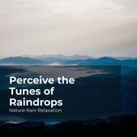 Nature Rain Relaxation, Rain Recorders, Rainfall - Perceive the Tunes of Raindrops