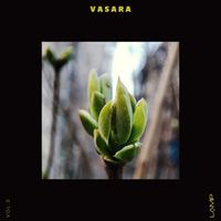 Various Artists - Vasara, Vol. 3