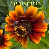 Björn Cloppenburg - Springtime
