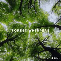 prm. - Forest whispers
