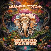 Spatial Plants - Arambol Visions