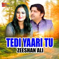 Zeeshan Ali - Tedi Yaari Tu