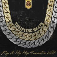 Toxifying Beats - Rap & Hip Hop Sensation Vol. 4
