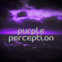 ANOMALI STUDIOS - Purple Perception