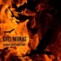 Keshava Quintanar Cano - Aves Negras