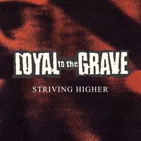 Loyal To The Grave - Striving Higher