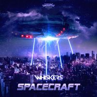 Whiskers - Spacecraft