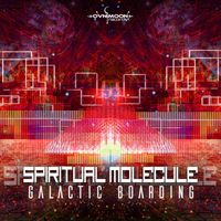 Spiritual Molecule - Galactic Boarding